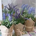 Apartmán Casa Dei Fiori