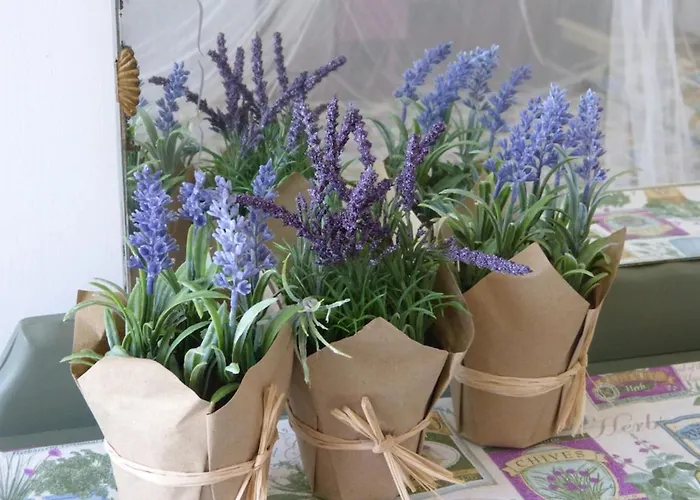 Апартаменты Casa Dei Fiori